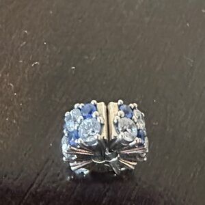 Elegant Silver and Blue Women's Charm